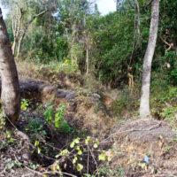 Erosion Remediation