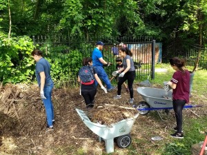 Clearing away debris