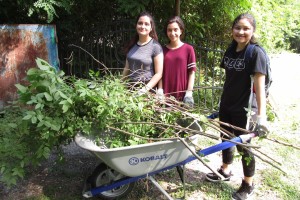 Student volunteers