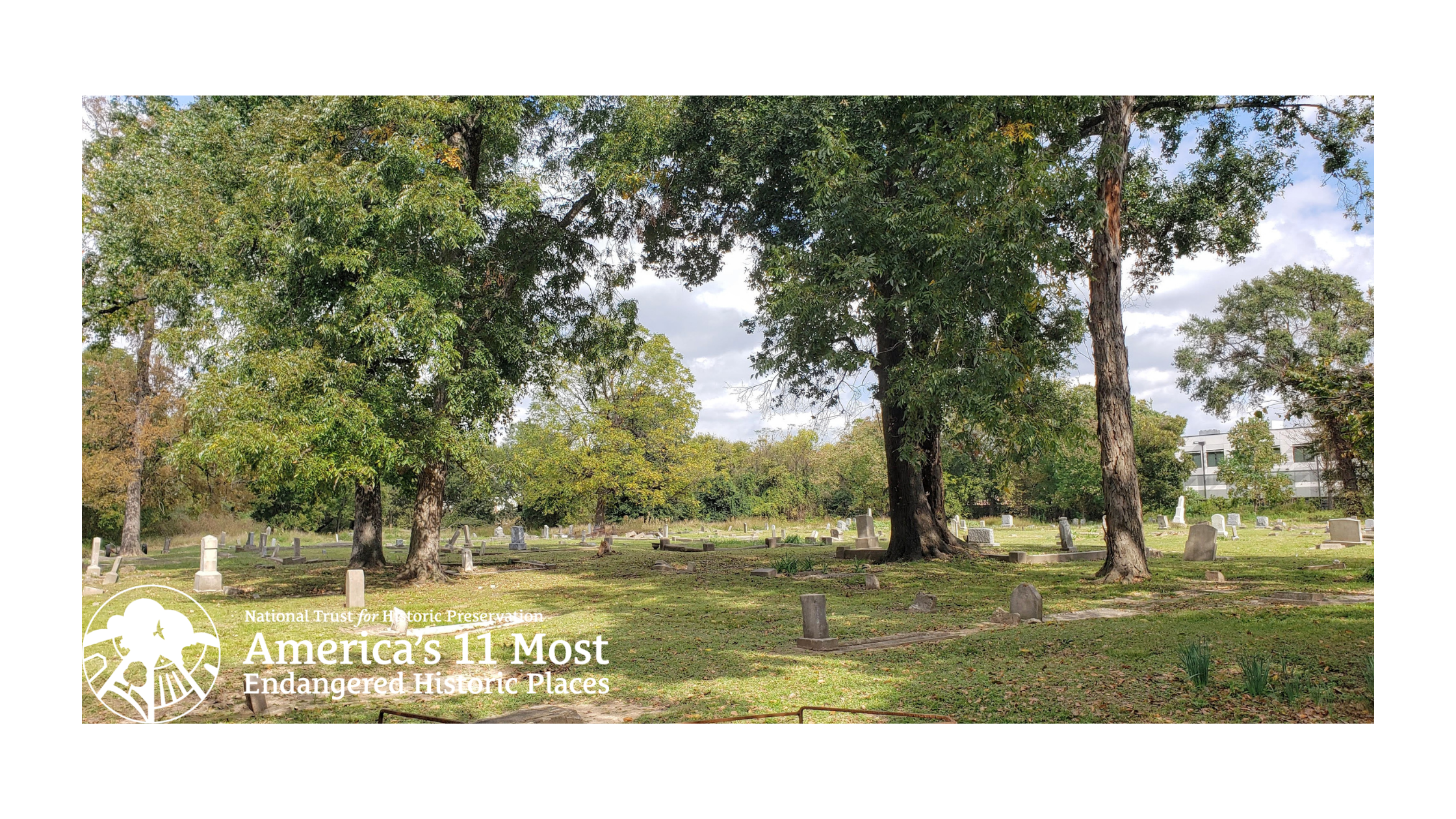 A view of Olivewood Cemetery (founded in 1875)